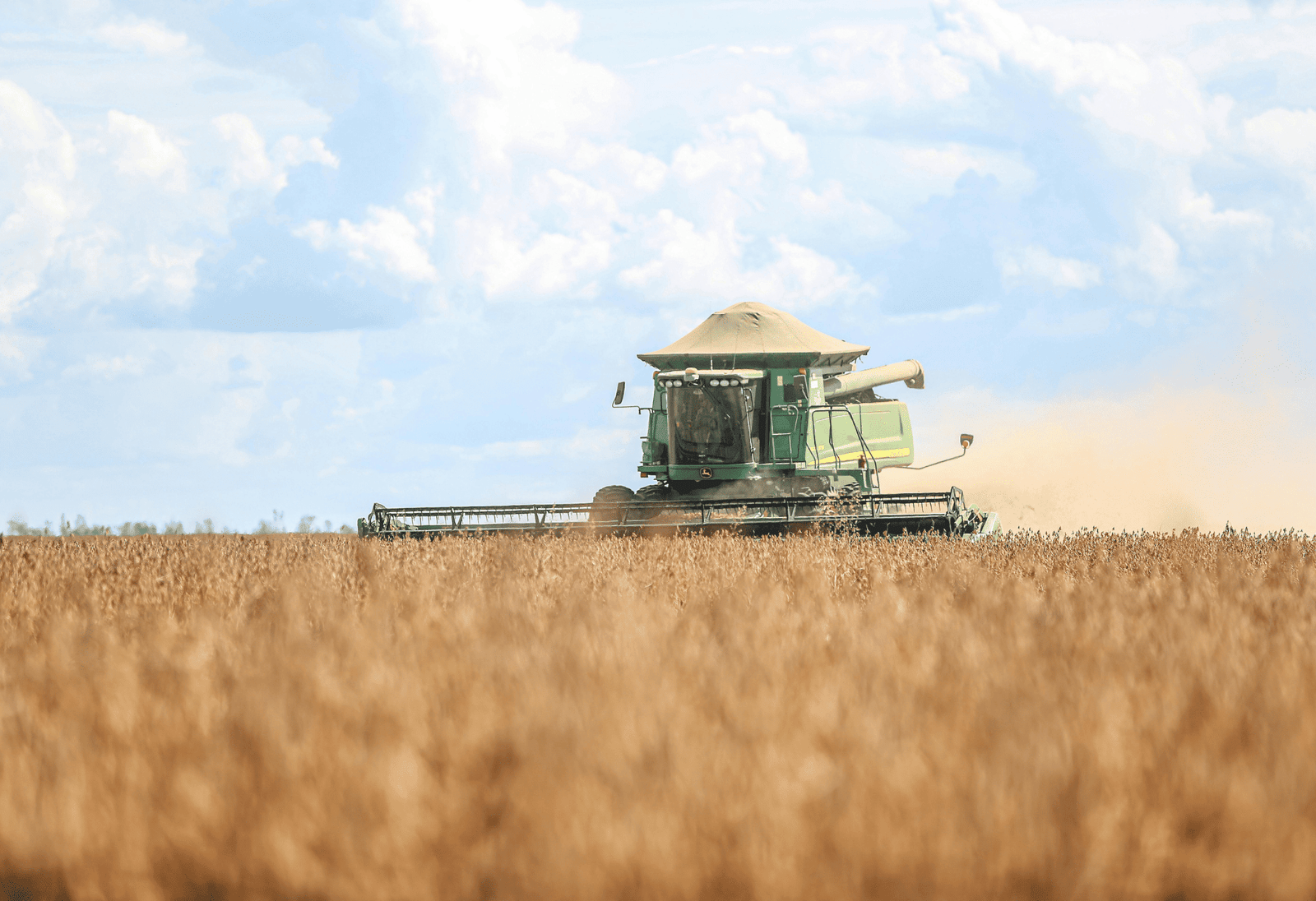 Mavielo Agromarketing - Agencia de marketing para o agronegocio