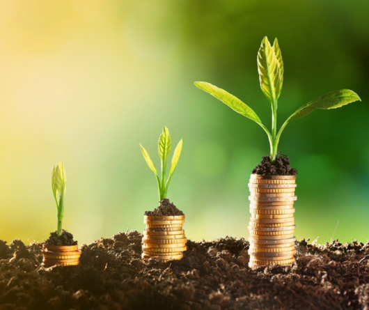 Mavielo Agromarketing - Agencia de marketing para o agronegocio