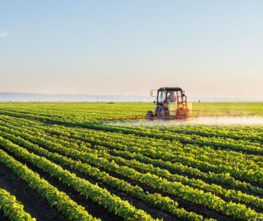 Mavielo Agromarketing - Agencia de marketing para o agronegocio