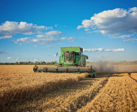 Mavielo Agromarketing - Agencia de marketing para o agronegocio