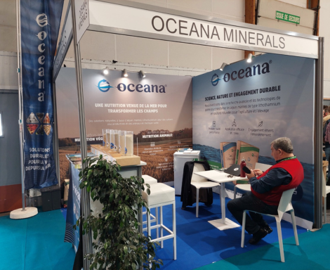 Mavielo Agromarketing - Agencia de marketing para o agronegocio